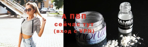 spice Вязники