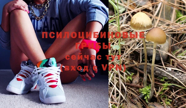 крисы Волоколамск