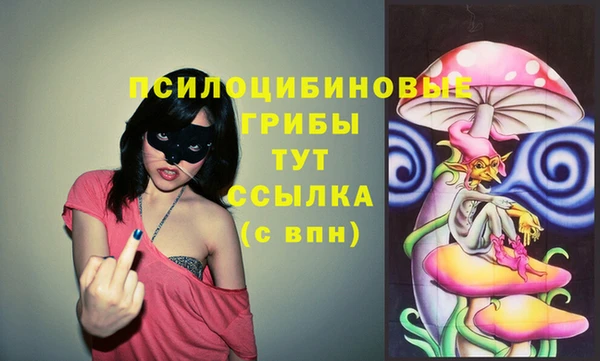 героин Вяземский