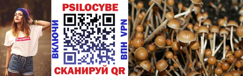 Псилоцибиновые грибы прущие грибы  Купить где  Кологрив 